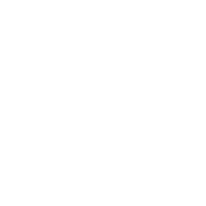 Compass Icon